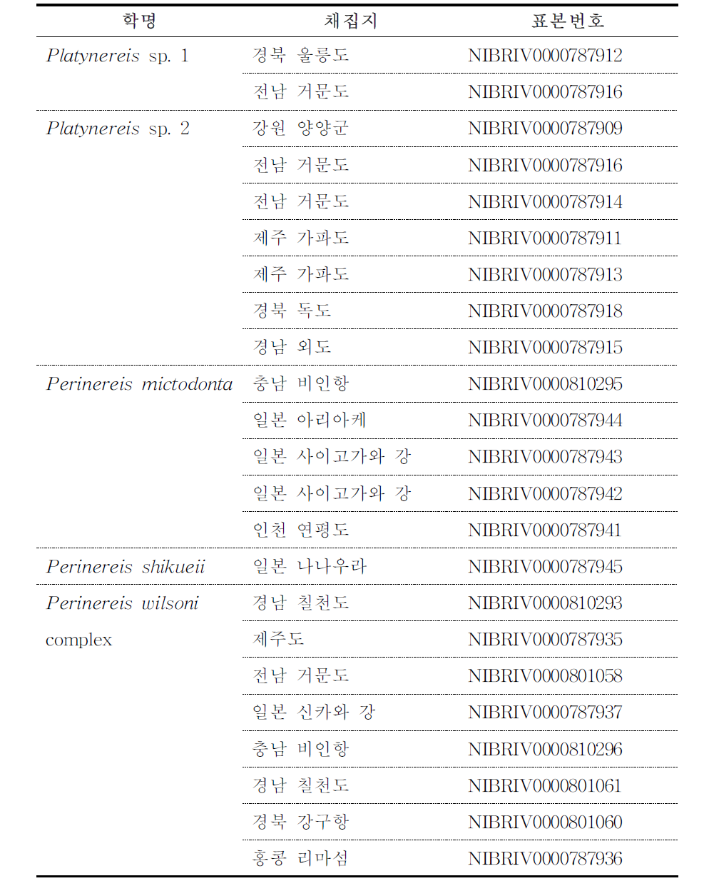 mtCOI DNA 염기서열 비교 분석을 위해 선발한 참갯지렁이과 표본 목록