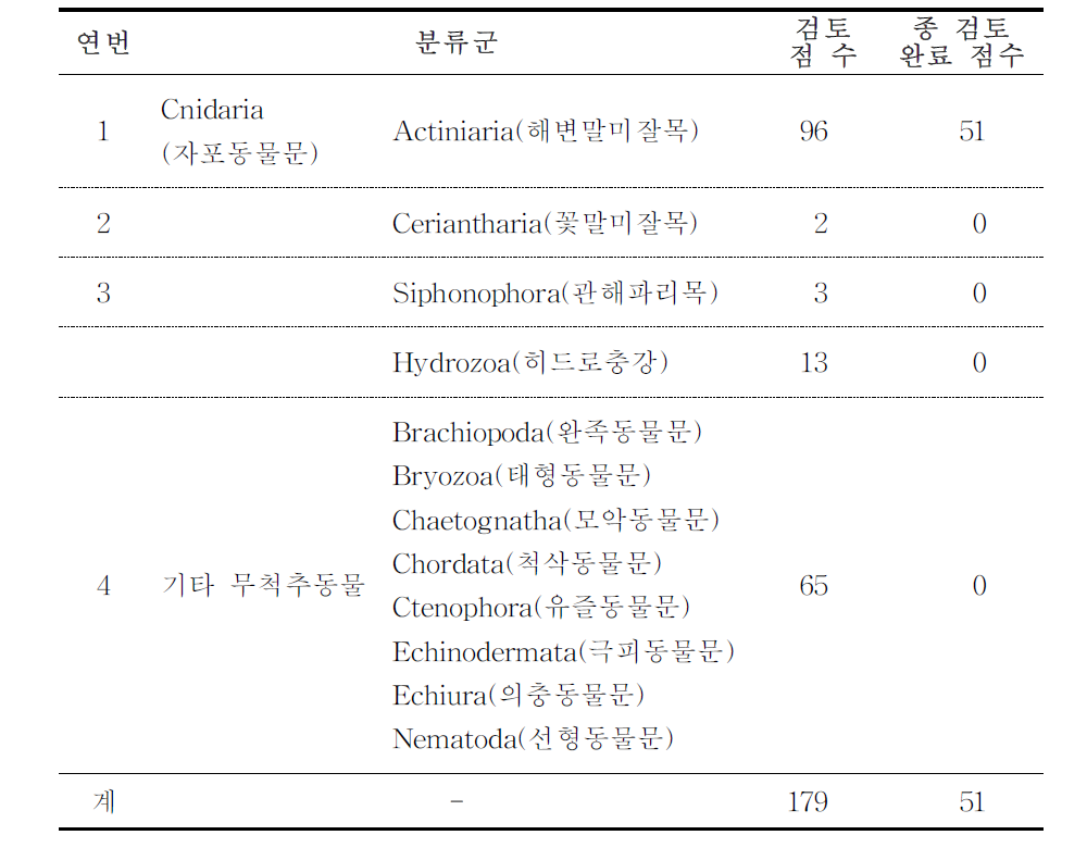 자포동물문과 기타 무척추동물 검토 및 재동정 표본 현황