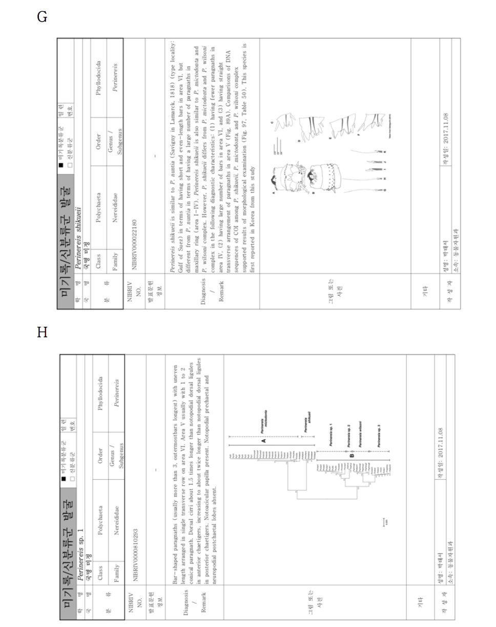 연구사업을 통해 발굴된 무척추동물 미기록‧신종 후보종. A. Gonodactylaceus falcatus, B. Bodotria n. sp., C. Campylaspis sp., D. Dendronephthya sp., E. Platynereis sp. 1, F. Platynereis sp. 2, G. Perinereis shikueii, H. Perinereis sp. 1, I. Perinereis sp. 2, J. Perinereis sp. 3 계속