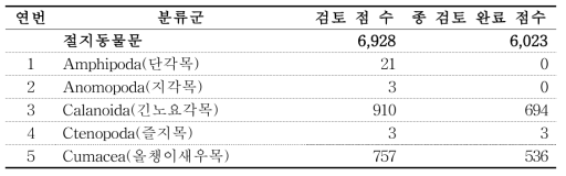 분류군별 표본 검토 및 종 검토 완료 현황