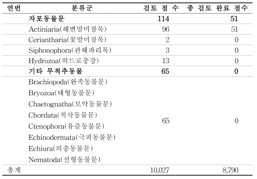 분류군별 표본 검토 및 종 검토 완료 현황 계속