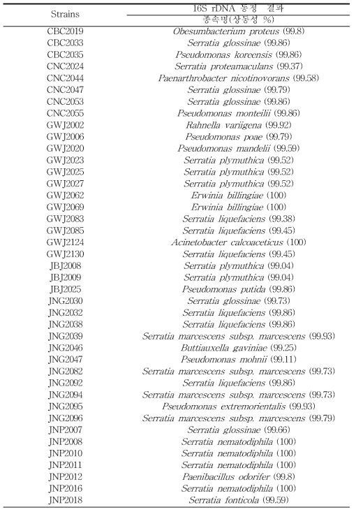 미생물 추출물의 항산화 활성 상위 41주 목록