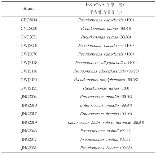 미생물 추출물의 항염 활성 상위 16주 목록
