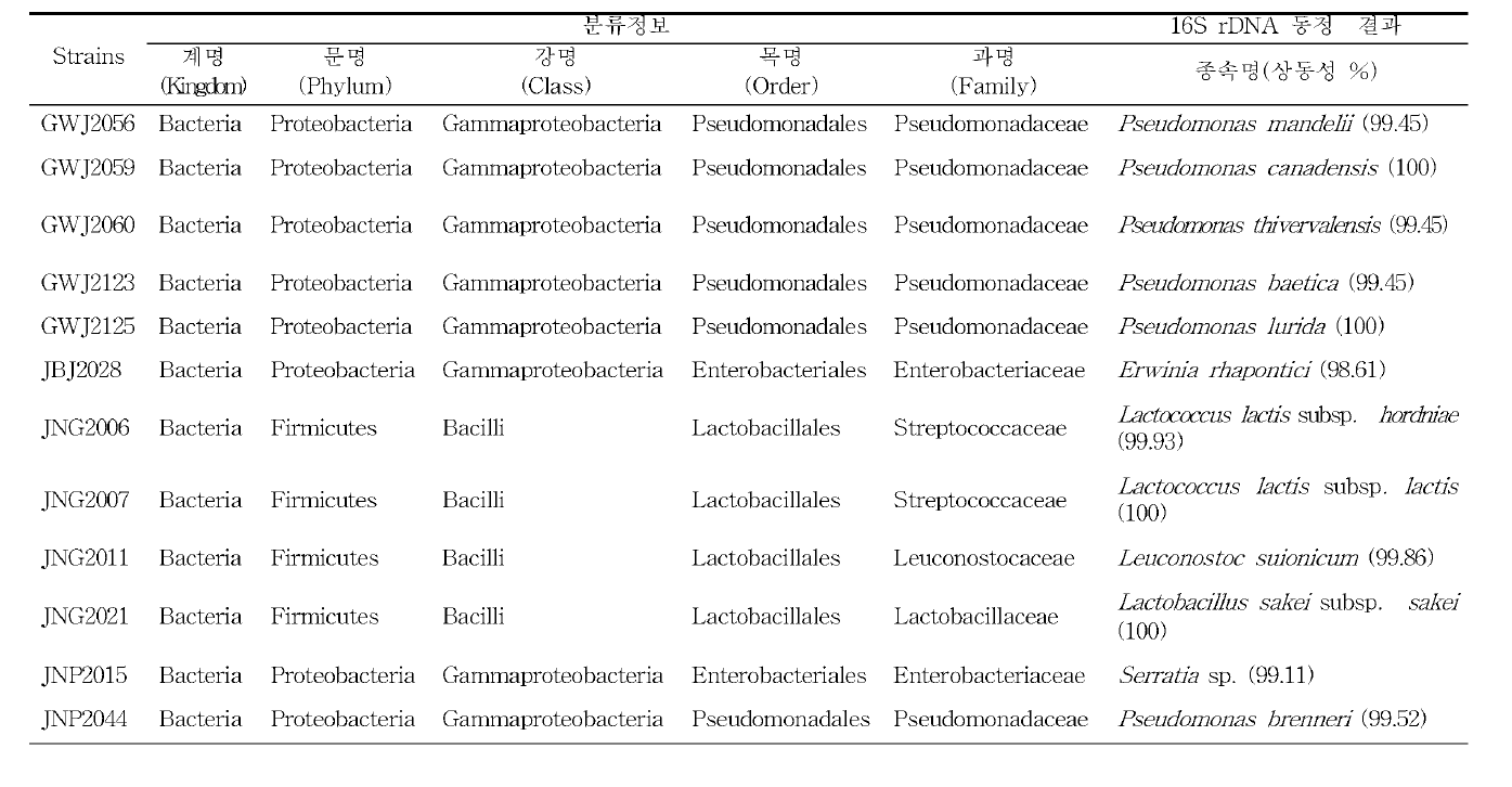 원핵생물 배양체의 분류정보