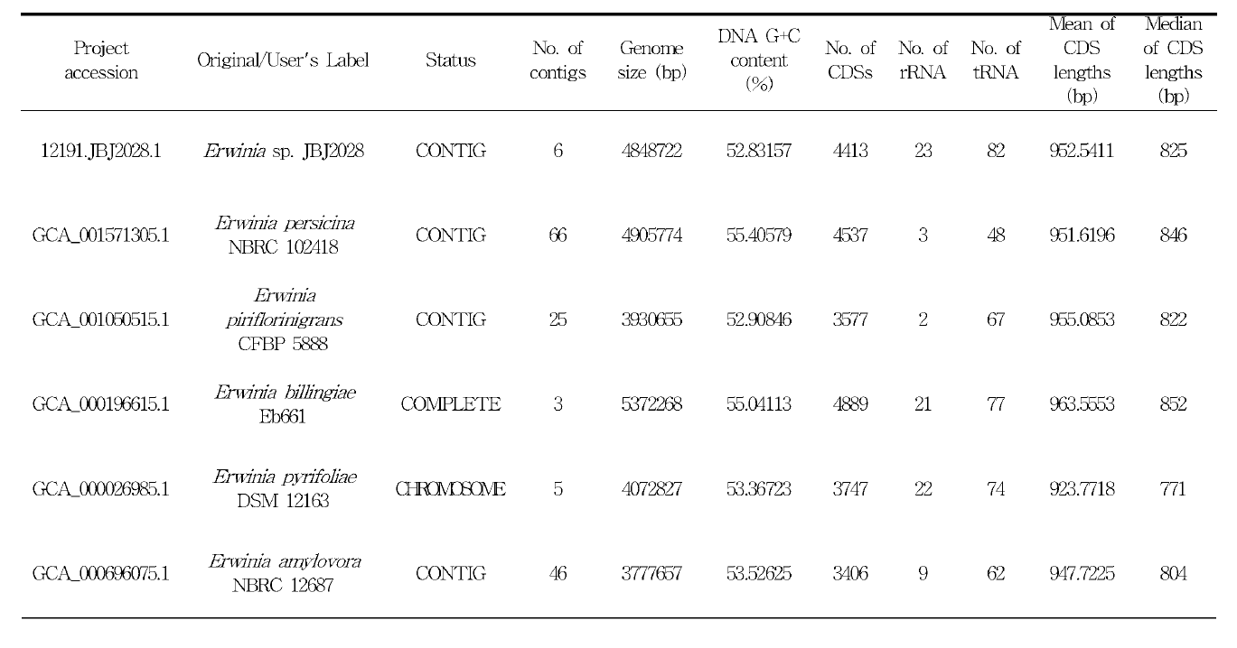 Erwinia sp. JBJ2028와 근연종 간 유전체 비교