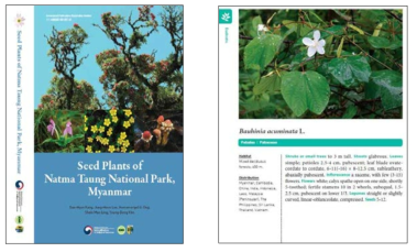 미얀마 나마땅 국립공원 식물도감 표지 및 내지
