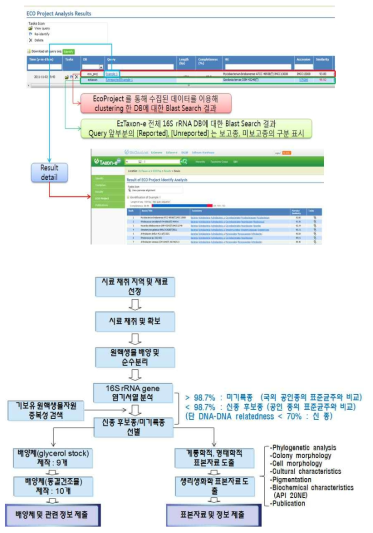 신종 후보종/미기록종 균주의 분리, 선별 및 후속 작업 개요