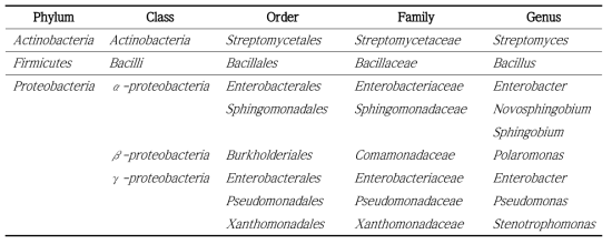 만장굴 분리 미생물의 계통학적 분석