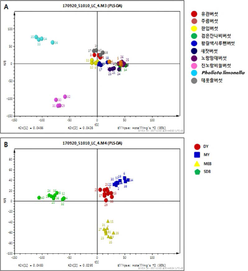 버섯 10종의 배지조건에 따른 이차대사체 변화 다변량 통계분석 PLS-DA score plots: A. 종별, B. 배지조건별 class 구분