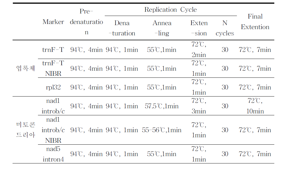 PCR 반응 조건