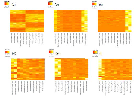 종별/조직별에서 나타나는 특이적인 발현유전자. (a)보춘화/대흥란의 특이적인 발현 유전자(adj.p.val < 0.05)에 대한 Heatmap (b)열매 특이적인 발현 유전자(adj.p.val < 0.05)에 대한 Heatmap (c)꽃 특이적인 발현 유전자(adj.p.val < 0.05)에 대한 Heatmap (d)꽃 봉오리 특이적인 발현 유전자(p.val < 0.05)에 대한 Heatmap (e)뿌리 특이적인 발현 유전자(adj.p.val < 0.05)에 대한 Heatmap (f)줄기 특이적인 발현 유전자(p.val < 0.05)에 대한 Heatmap