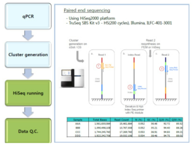 Hiseq 2500 염기서열 분석 모식도