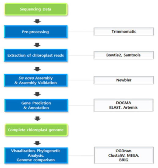 엽록체 DNA assembly 및 annotation 분석 과정, 날개하늘나리엽록체 게놈 분석은 Illumina 대용량염기서열분석기로 전체 게놈을 분석하고 Newbler assembler 소프트웨어로 assembly 하였다. Assembled contig 중에 엽록체 게놈에 해당하는 것을 선발하여 BLAST로 유전자를 찾고, Artemis로 모든 유전자의 구조 및 정확도를 검증하여 결정하고 유전자 지도 및 근연종 유사도를 비교하였다