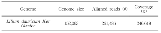 날개하늘나리 전체 게놈 구성의 read와 길이