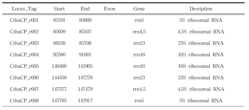 물고사리 엽록체 rRNA 정보