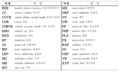 백합과 해부에서 각 조직명칭