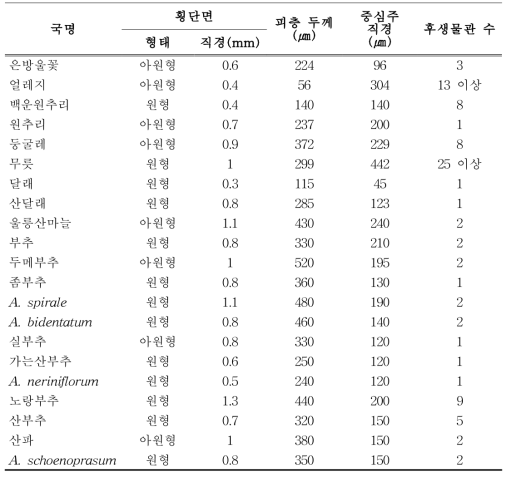 백합과 21종의 뿌리 조직 비교