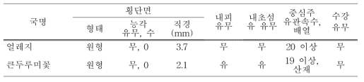 백합과 2종의 지하경 조직 비교