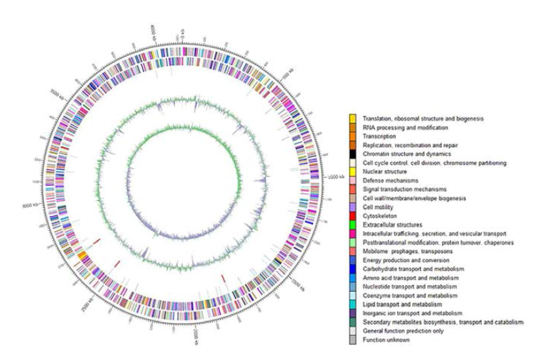 Marinobacter sp. Hb8T의 유전체 지도