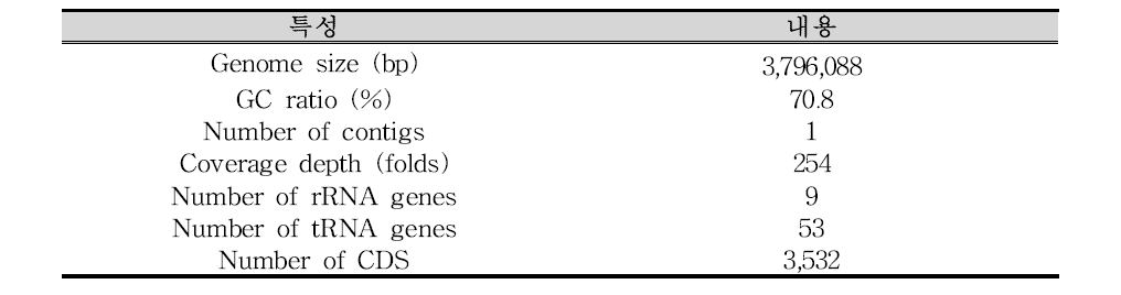 Brachybacterium sp. VM2412T 유전체의 일반 특성
