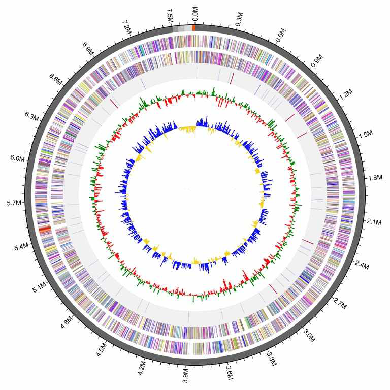 Methylobacterium sp. 17Sr1-28T 의 유전체 지도