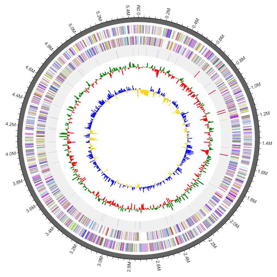 Methylobacterium sp. 17SD2-17T 의 유전체 지도