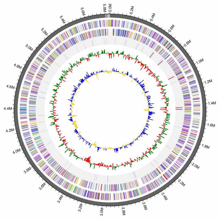 Methylobacter sp. 17Sr1-1T 의 유전체 지도