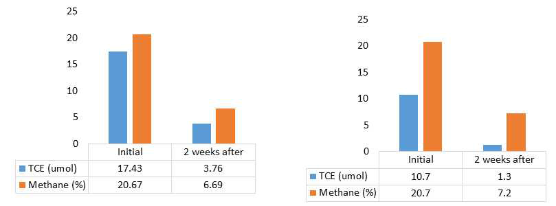 Methylomonas sp. JS821의 TCE 및 메탄 감소 그래프 (좌: (가), 우: (나)조건)