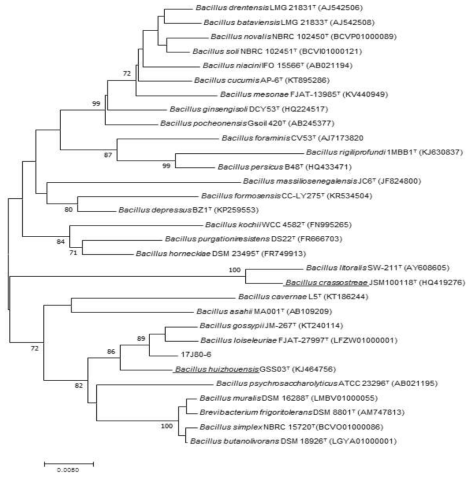 방사선 내성 Bacillus 속 발굴종 17J80-6의 계통수