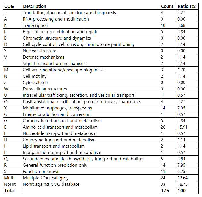 Microvirga soli 17 mud 1-3의 plasmid에 대한 COG 분석목록