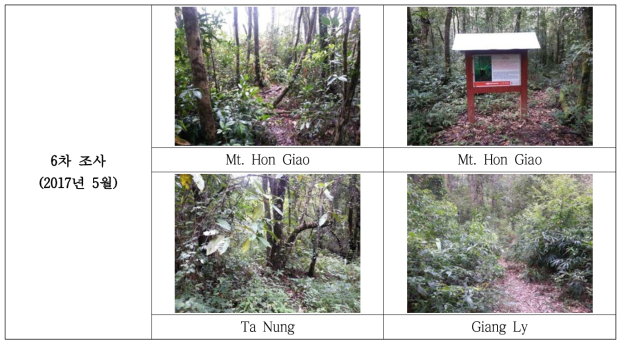 Mt. Hon Giao외 2지역 식물 조사지 전경