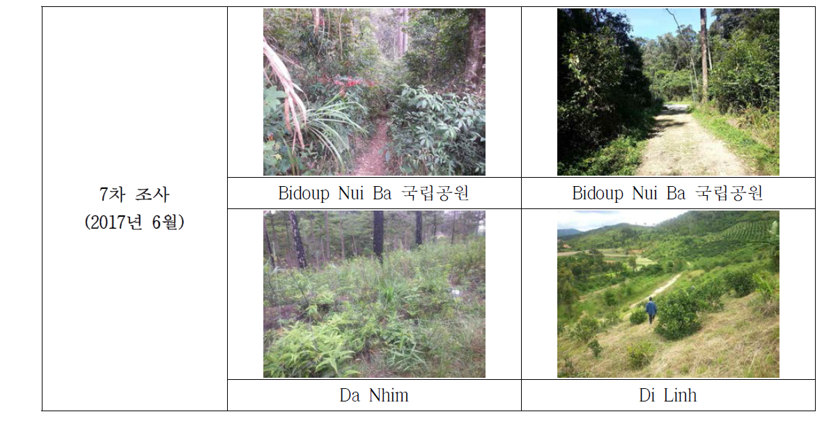 Biduop Nui Ba 국립공원외 2지역 식물 조사지 전경