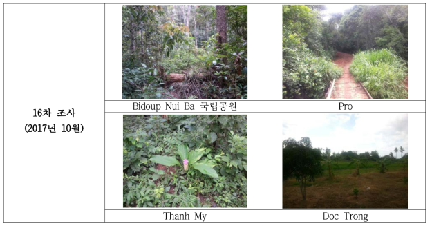 Bidoup Nui Ba 국립공원외 3지역 곤충 조사지 전경