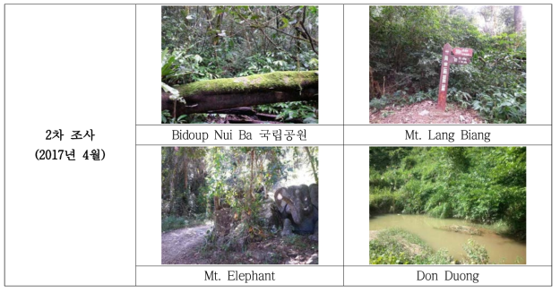 Bidoup Nui Ba 국립공원 외 3지역 식물 조사지 전경