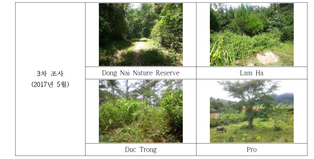 Dong Nai Nature Reserve 외 3지역 식물 조사지 전경