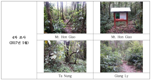Mt. Hon Giao 외 2지역 식물 조사지 전경