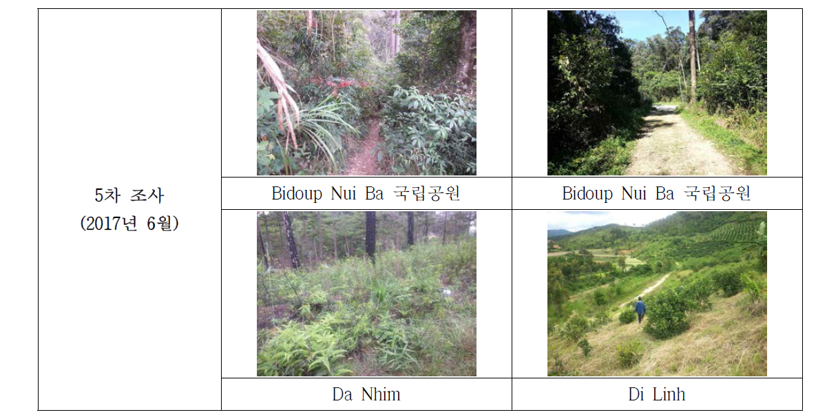 Biduop Nui Ba 국립공원 외 2지역 식물 조사지 전경