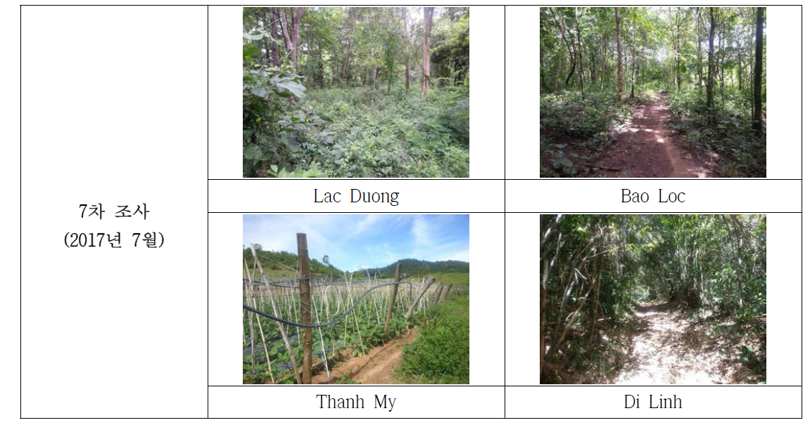 Lac Duong 외 3지역 식물 조사지 전경