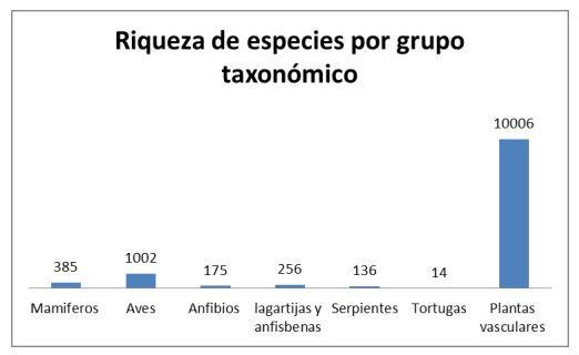 Number of species per taxon of Argentina * 출처: QUINTO INFORME NACIONAL PARA LA CONFERENCIA DE LAS PARTES DEL CONVENIO SOBRE LA DIVERSIDAD BIOLÓGICA (CDB)
