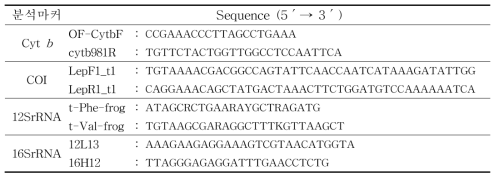 수원청개구리의 mtDNA 유전자 primer 목록