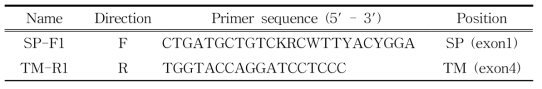 cDNA 증폭에 사용한 프라이머 정보