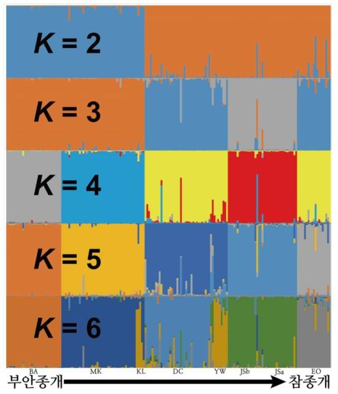 부안종개 및 참종개 집단들의 Bayesian population structure