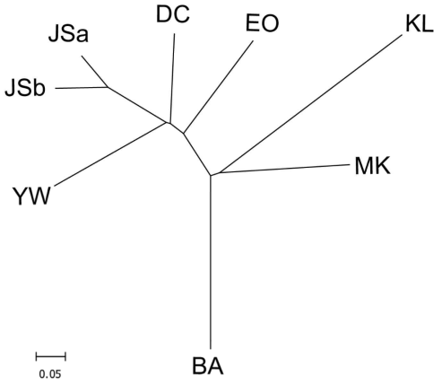 부안종개 참종개 집단의 NJ tree(POPTREEW), BA: 부안종개, 이하 참종개 ; MK: 완주군(만경강), KL: 금산군(금강), DC: 충주시(대천천), YW: 영월군, JS: 정선군, EO: 삼척시