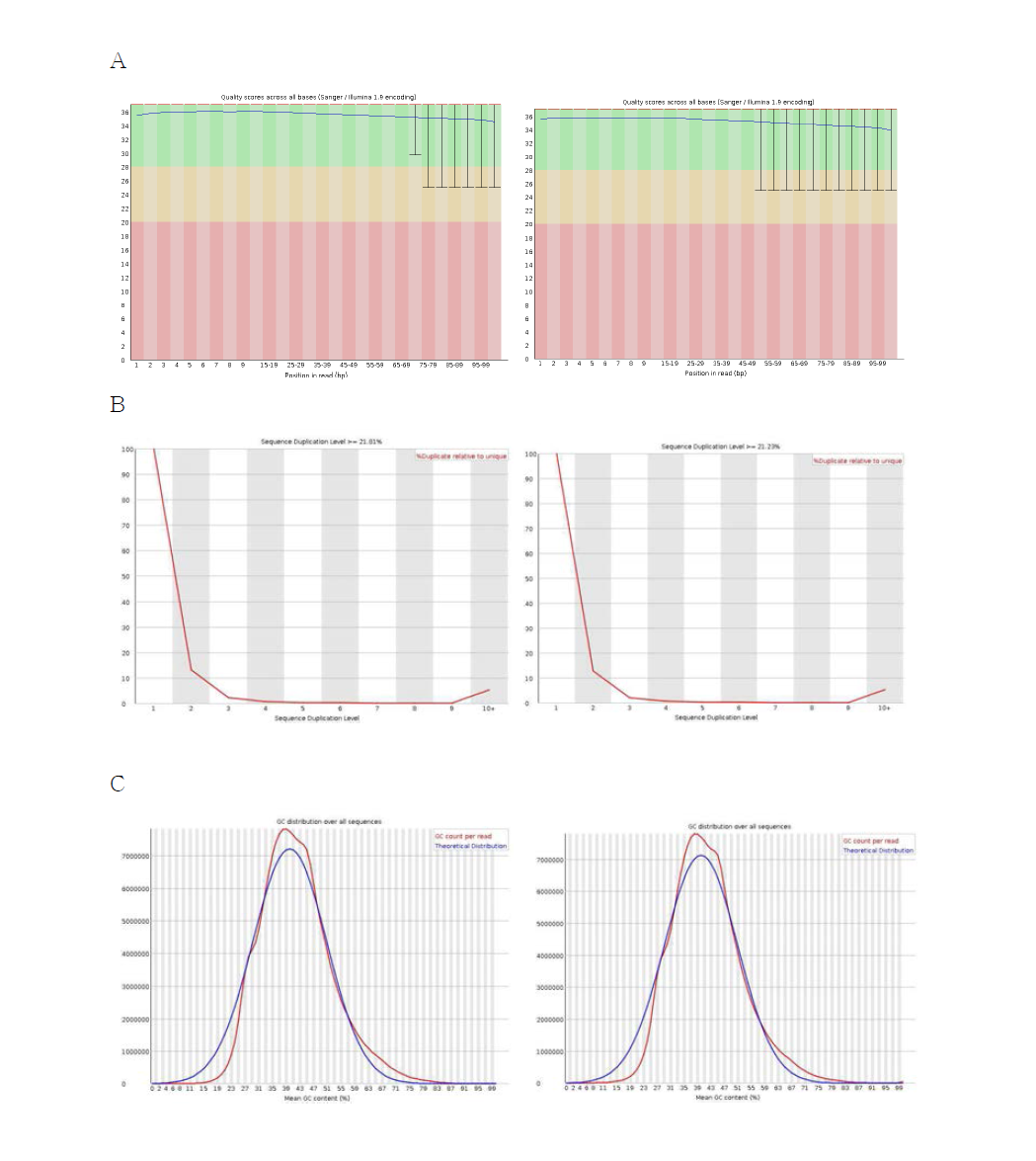 IN3897 시퀀싱데이터 QC결과 A. Base quality Score; B. Sequence duplication level; C. GC content