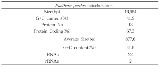 표범 미토콘드리아 유전체 분석 요약
