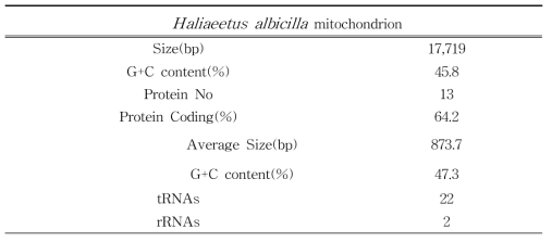 흰꼬리수리 미토콘드리아 유전체 분석 요약