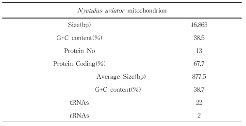 멧박쥐 미토콘드리아 유전체 분석 요약