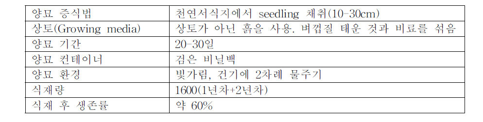 Clausena excavata의 양묘 환경 및 식재 현황