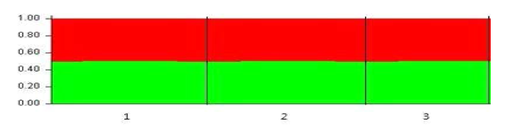 국내 긴가지해송 집단의 유전적 구조 분석(K=2) 1: 전남 여수시 삼산면 거문도(GM), 2: 전라남도 신안군 흑산면 홍도(HD), 3: 부산 사하구 다대동(DD)