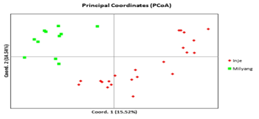 은줄팔랑나비 33 개체의 주성분 분석(PCoA)